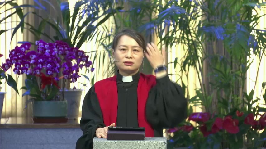 万有都在赞美—我们为何失去了惊叹