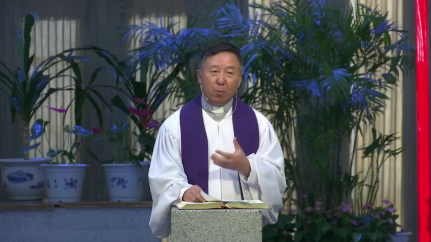 门徒的代价