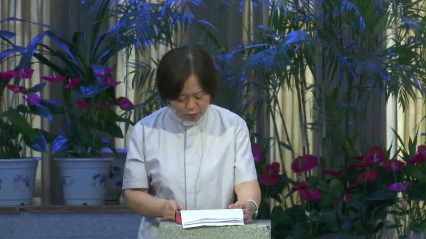 关于神迹的思考