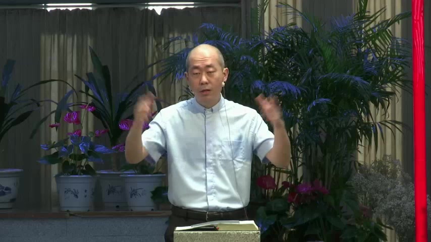 主若愿意