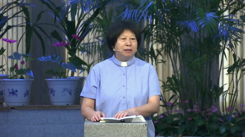 神的救赎及选民的悖逆