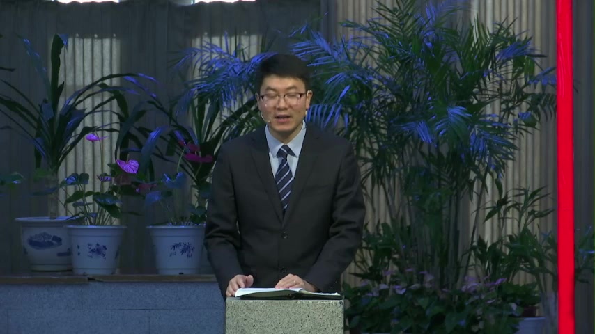 狮子尸体里的蜂蜜——在人的任性中看见神的作为