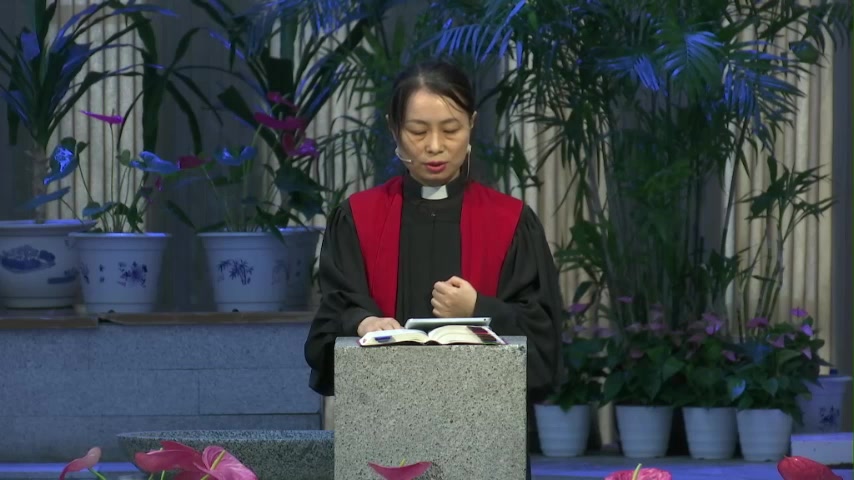 赐第二次机会的神