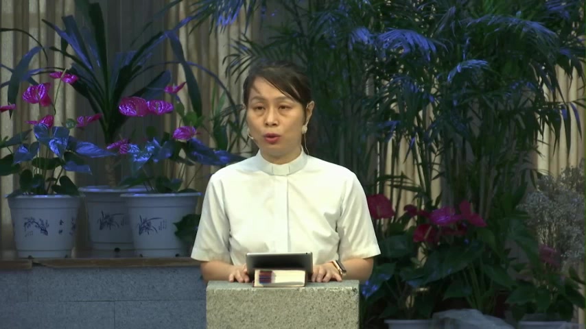 神圣追赶：无法抗拒的恩典