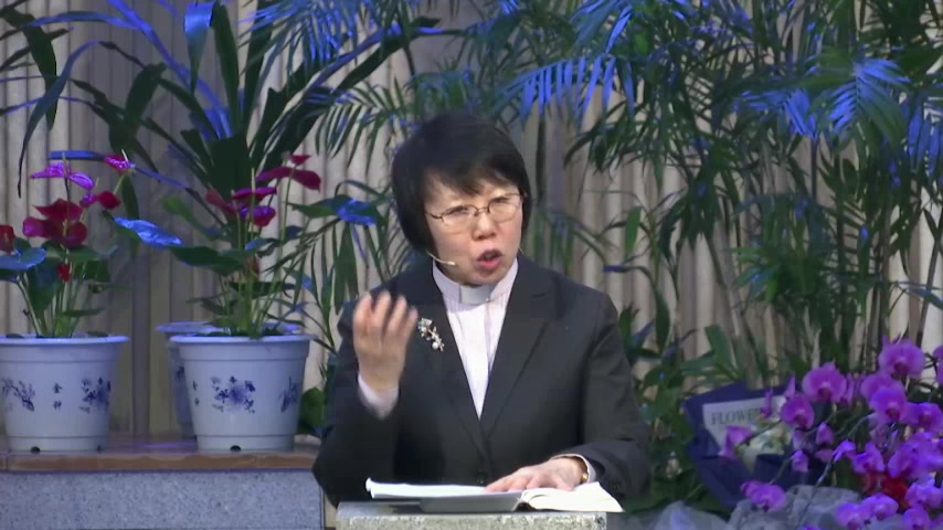 有福的人（3）必承受土地——温柔