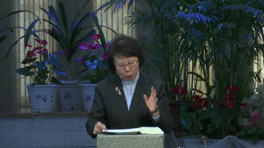 十字架的道理