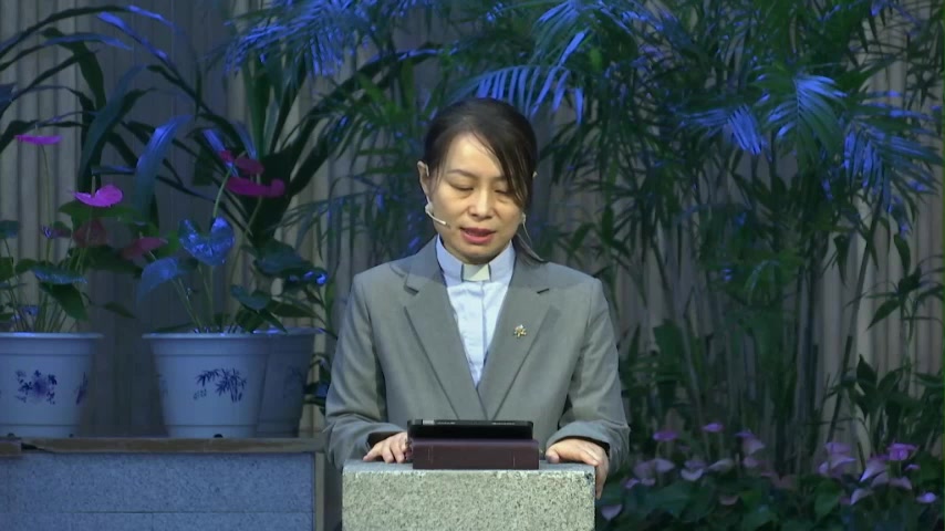 “我岂能不爱惜呢？”