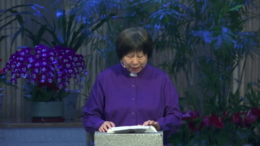 在逼迫中看见神的手