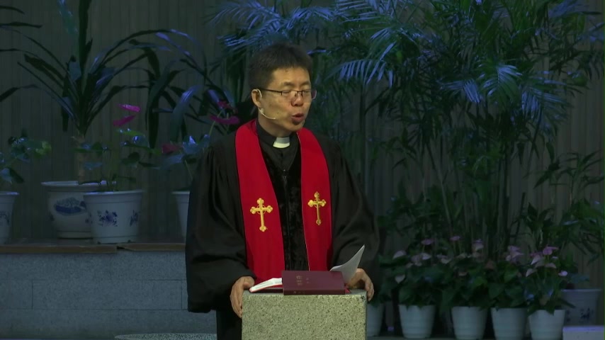 光照你所在小地方